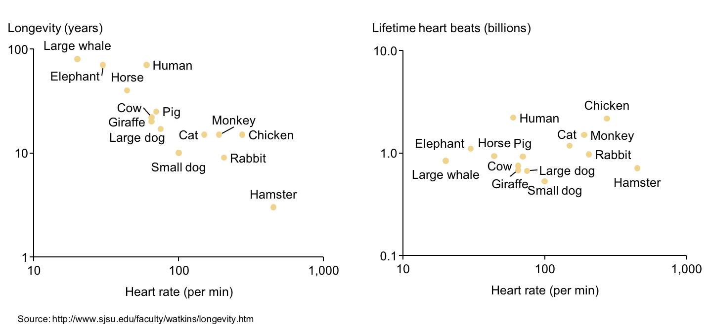 Heart Rate Per Minute Chart